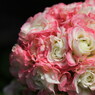 flower heart
