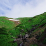 夏山の賑わい