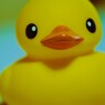あひるそうぐう１