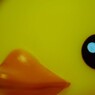 あひるついげき１