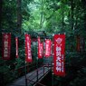 緑にむせる
