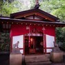 緑の奥に