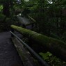 癒し道