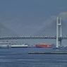 SDIM1105