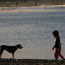 少年と犬