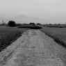 田舎道