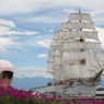 海の日の総帆展帆