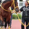 エルドラゴン