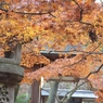 奈良の茶屋