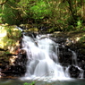 種子島　雌淵雄淵の滝