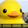 『piyo #14』