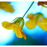 happy yellow
