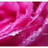 drop