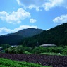 reDSC_1185