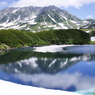浄土に映る
