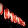 reDSC_1437