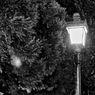 横浜の街灯