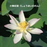 hasu23