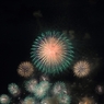 DPP_010_R