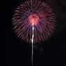 DPP_029_R
