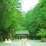 諏訪大社へ