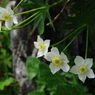 IMGP8978