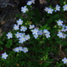 IMGP8983