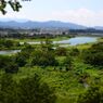 相模川の夏