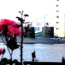 薔薇と潜水艦
