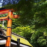 嵯峨野・平野屋の夏　京都スナップ