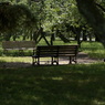 useing@