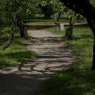 useing@