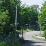 夏の昼　帰り道