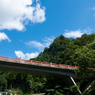 夏の空