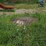 useing@