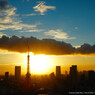 東京タワー　#11