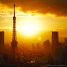 東京タワー　#12