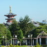 朝日に輝く