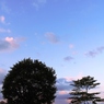 夏　早朝 4