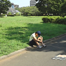 Lives in the Park Vol,1　02