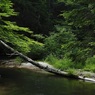 photo_2004593