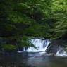 湯滝付近の小さな滝