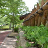 公園_2