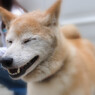 いや～ん♪