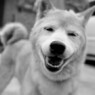 笑いすぎでしょ♪