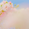 Un bouquet