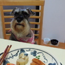 私も朝ごはん♪