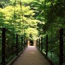 光の向こうは↑↑↑素敵な未来が待つ☆