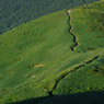 green road