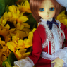 IMGP1065
